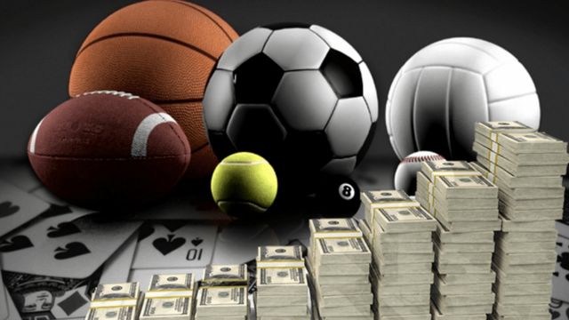 How To Start Earning From Sports Betting Software